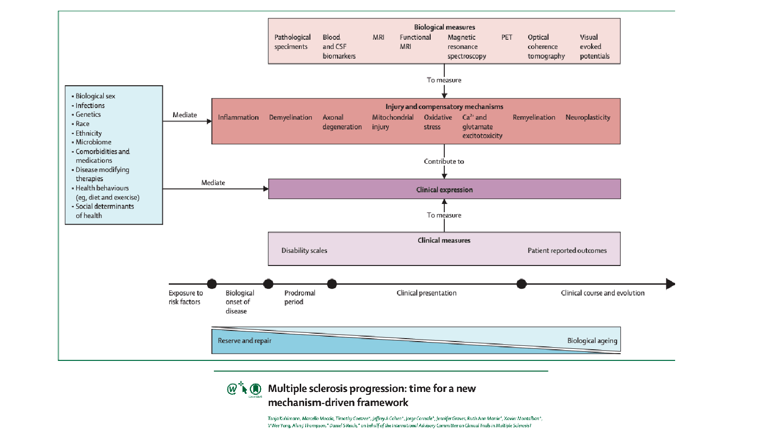 Full image of slide 6