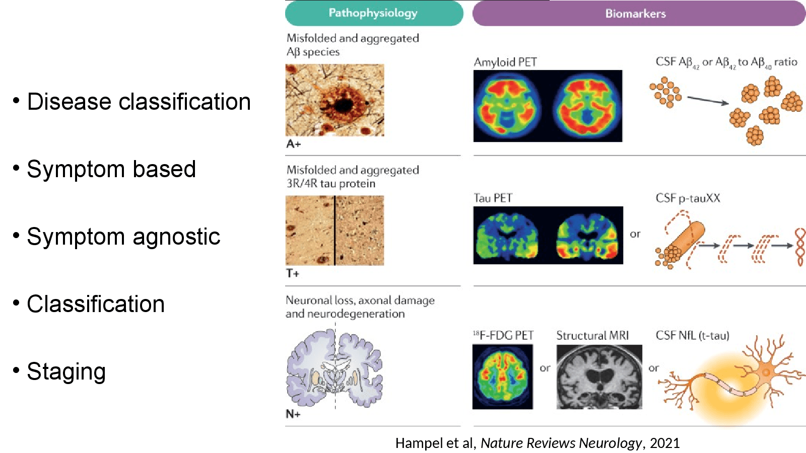 Slide 5: Hampel et al, Nature Reviews Neurology, 2021
