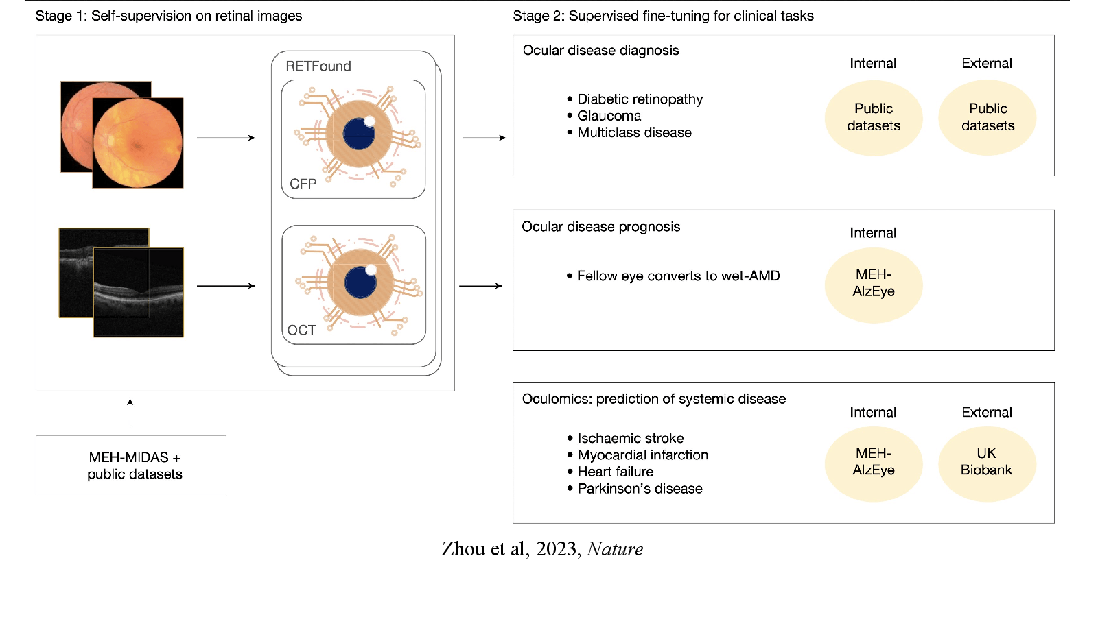 Slide 13: Zhou et al, 2023, Nature