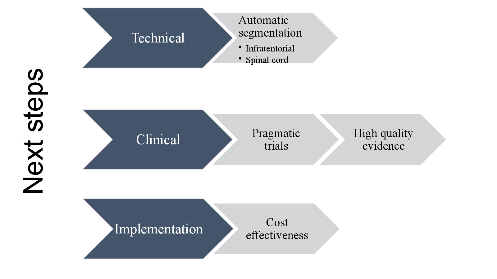 Slide 12: Next steps