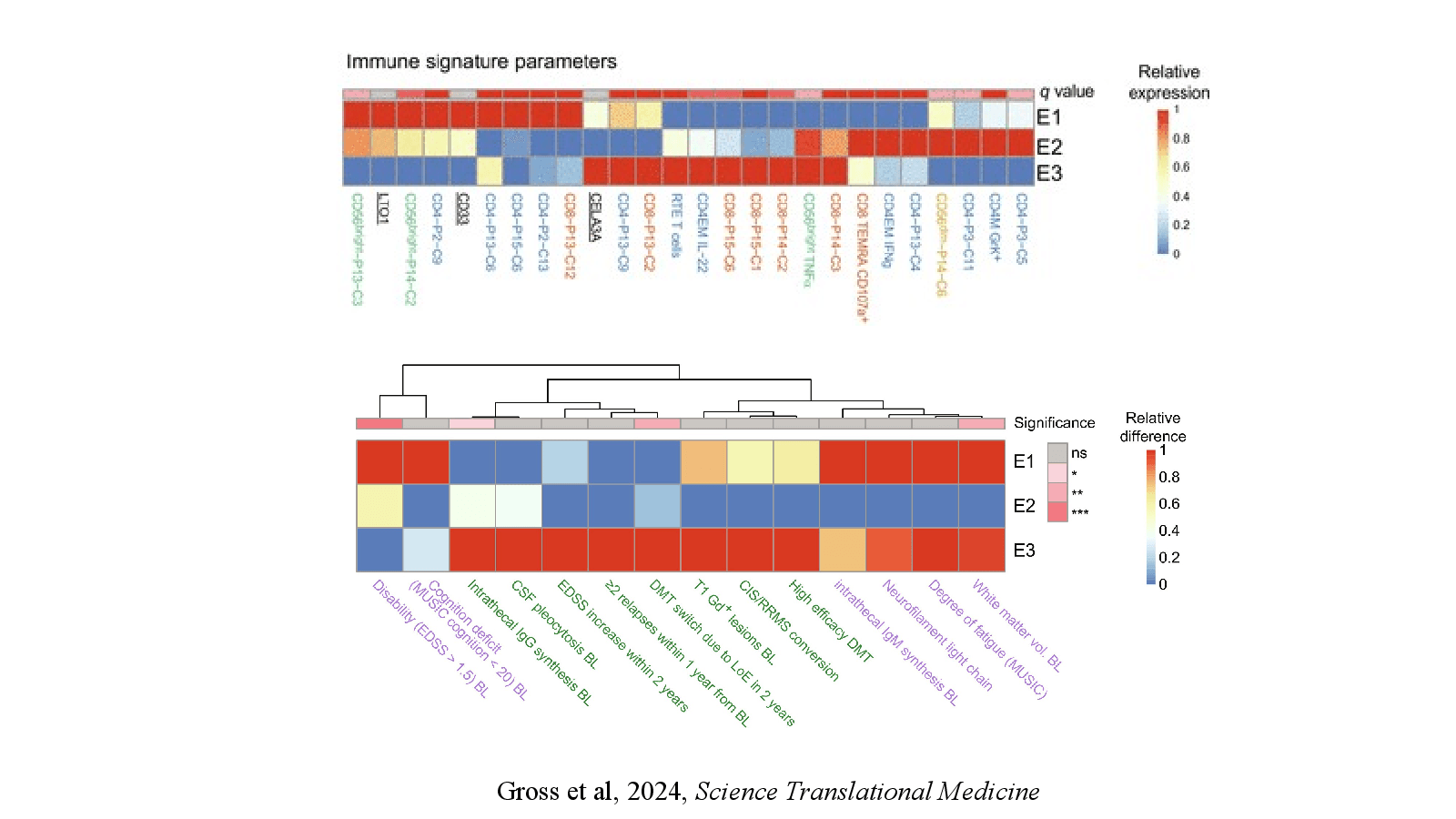 Slide 10: Gross et al, 2024, Science Translational Medicine