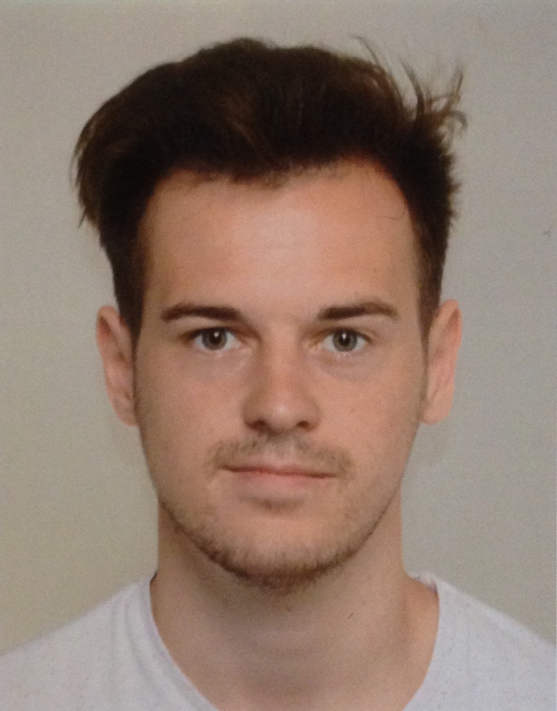 Philipp Goebl